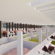 Mixed-Use Agricultural Development
